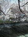 20080323143209.jpg 20080323143209.jpg