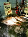 200805111628000.jpg 200805111628000.jpg