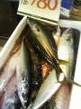 200805111633000.jpg 200805111633000.jpg