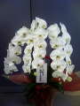 200809031404000.jpg