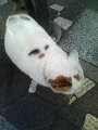200902090813000.jpg 200902090813000.jpg