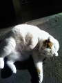200903160818000.jpg