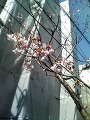 200903201244000.jpg 200903201244000.jpg