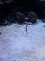 200903211440000.jpg