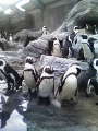 200903211542000.jpg