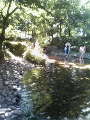 200907261438000.jpg 200907261438000.jpg