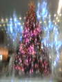 20091221114447.jpg 20091221114447.jpg