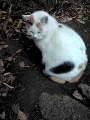 20100105082842.jpg