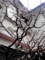 20100306115207.jpg