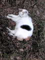 20100313115822.jpg 20100313115822.jpg