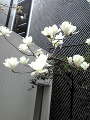 20100315124658.jpg 20100315124658.jpg