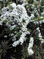 20100322135405.jpg 20100322135405.jpg