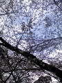 20100329142032.jpg 20100329142032.jpg