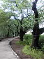 20100512123626.jpg