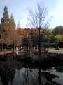 20101128140300.jpg 20101128140300.jpg