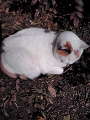 20110418082430.jpg