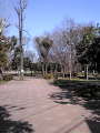 清澄公園.jpg