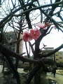 200902111554000.jpg