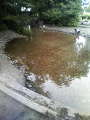 200906141601000.jpg 200906141601000.jpg