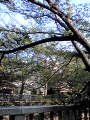 20110424170148.jpg 20110424170148.jpg