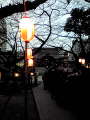 0103花園神社.jpg